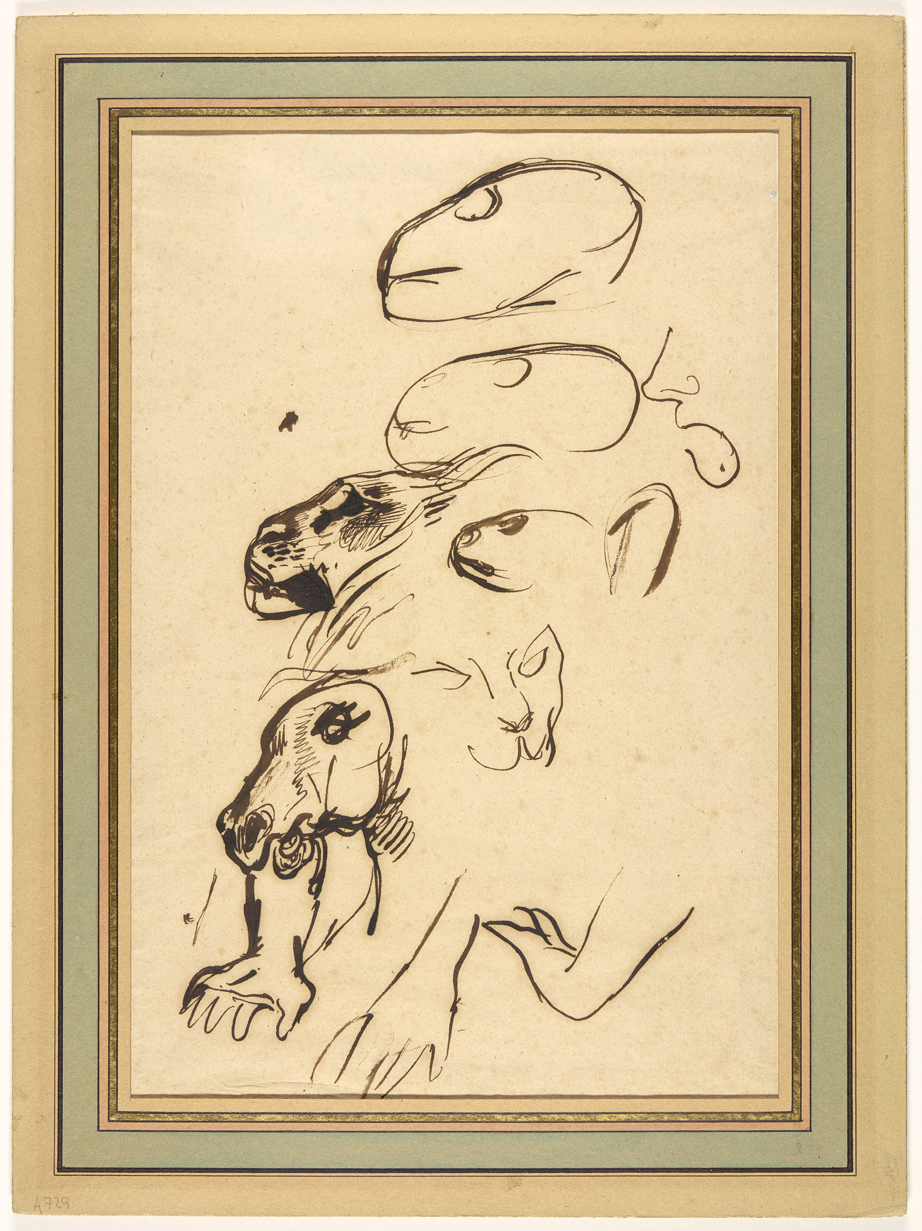 Tierkopfstudien, undatiert